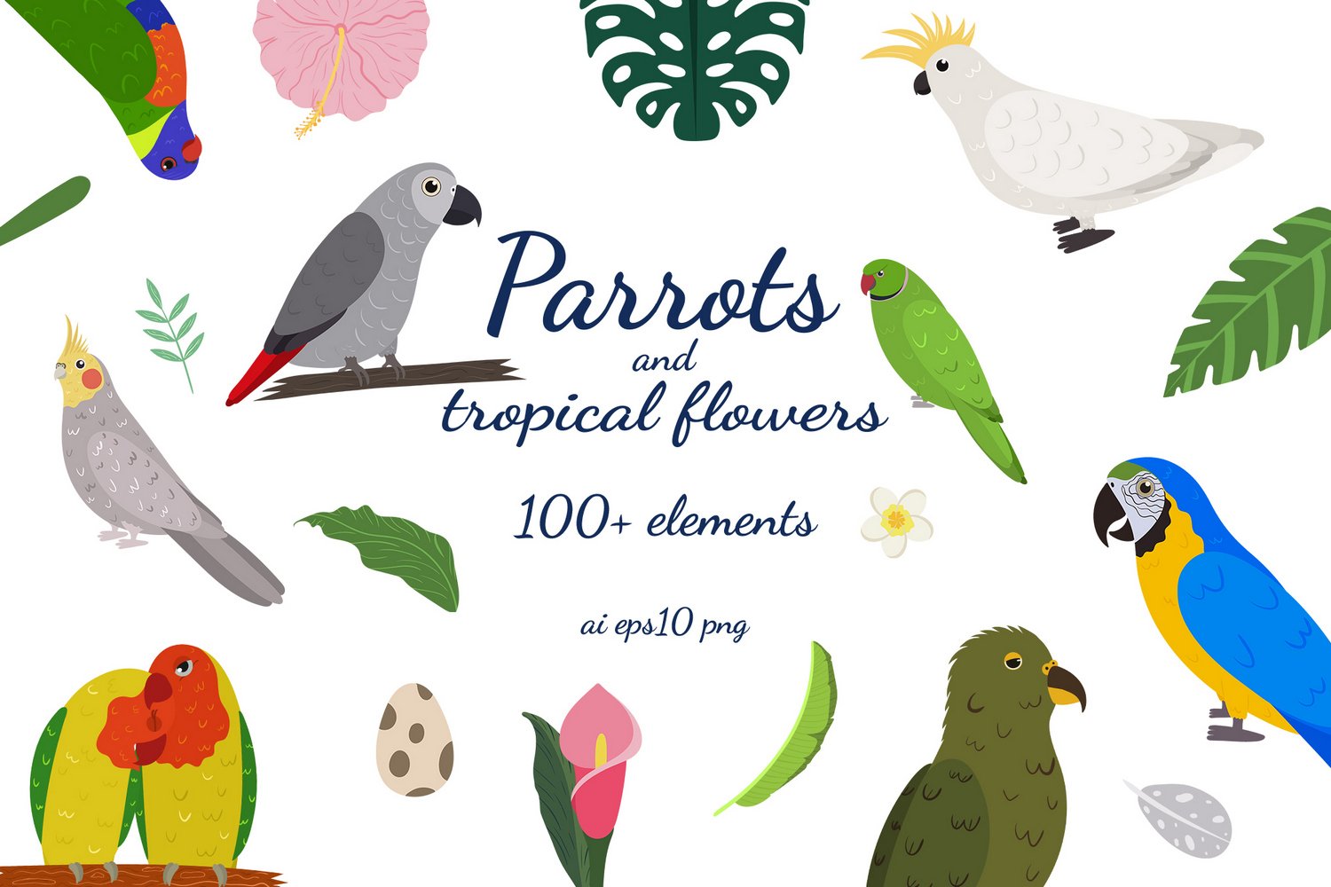 Parrots And Tropical Flowers Clipart Collection