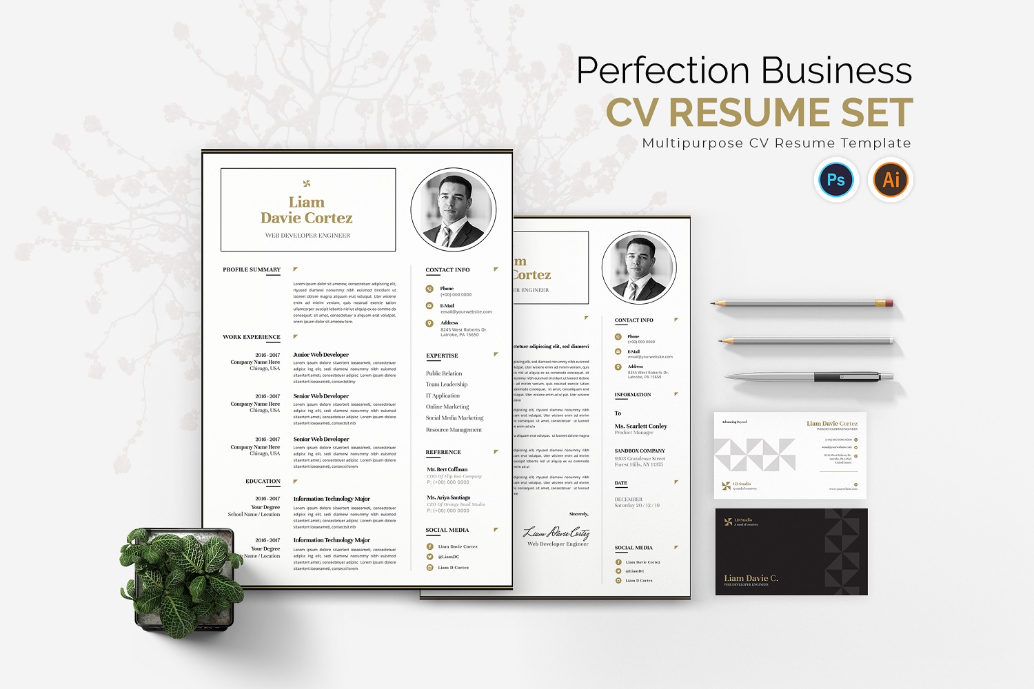 Perfection Business CV Resume Set