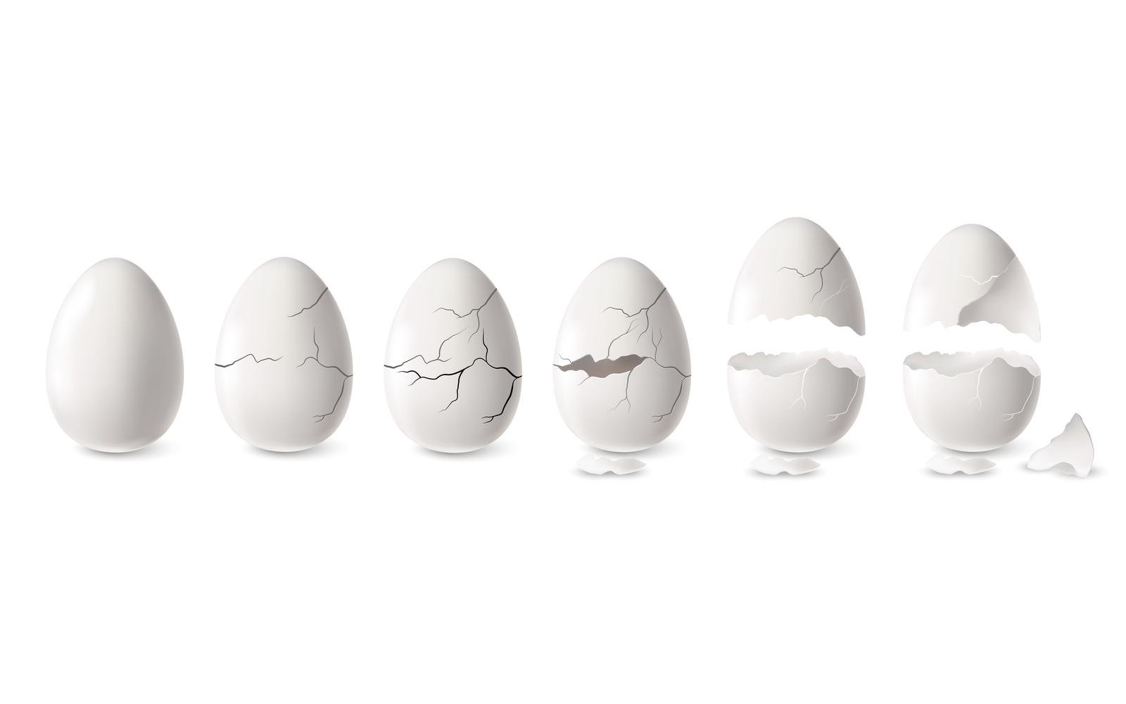 Realistic Cracked Egg Set 210230501 Vector Illustration Concept