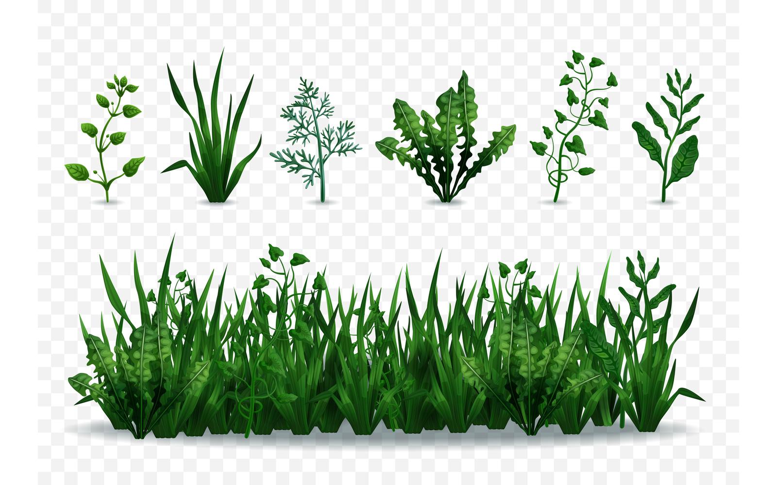 Green Grass Illustration 210200307 Vector Illustration Concept