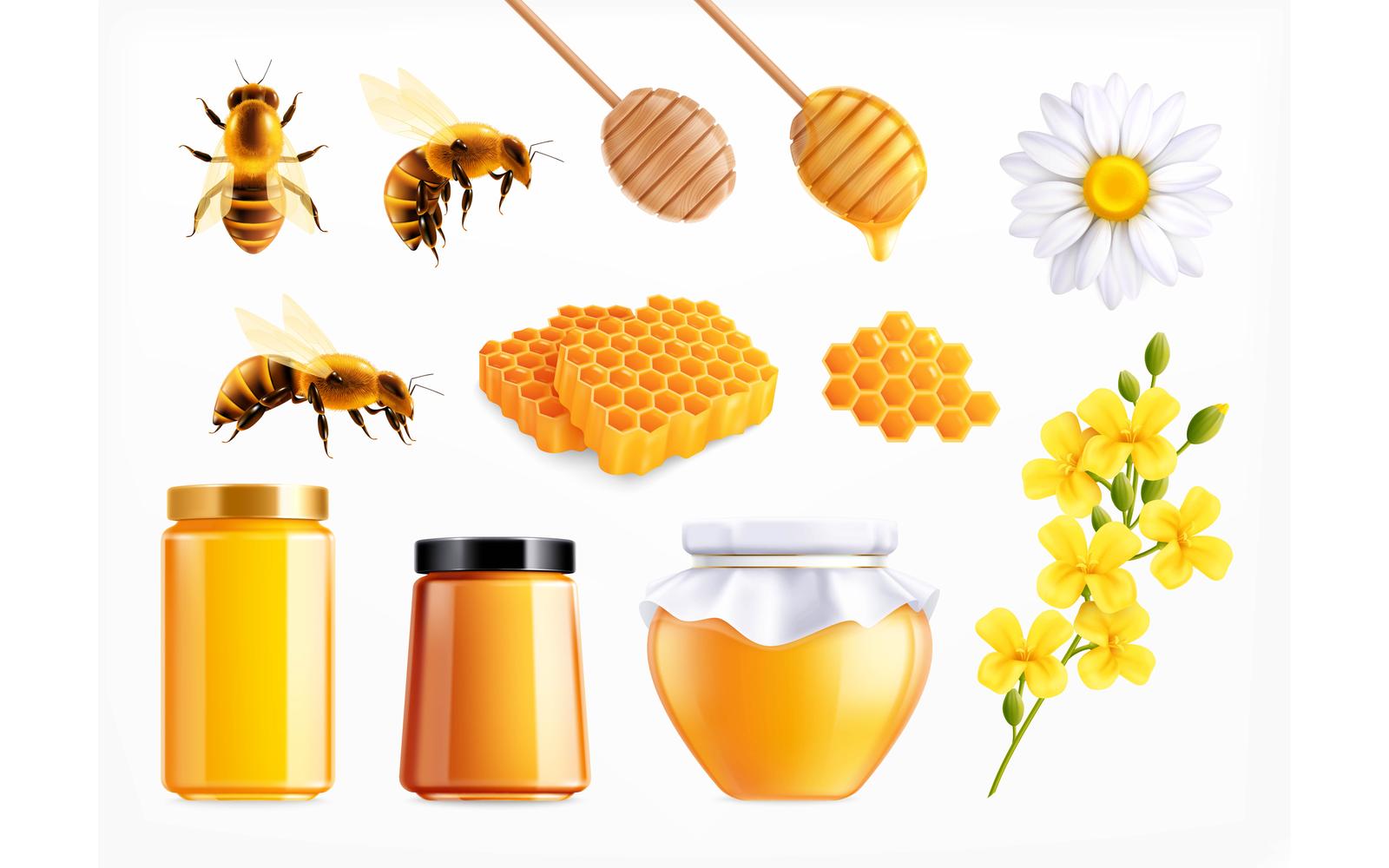 Honey Realistic Set 210130907 Vector Illustration Concept