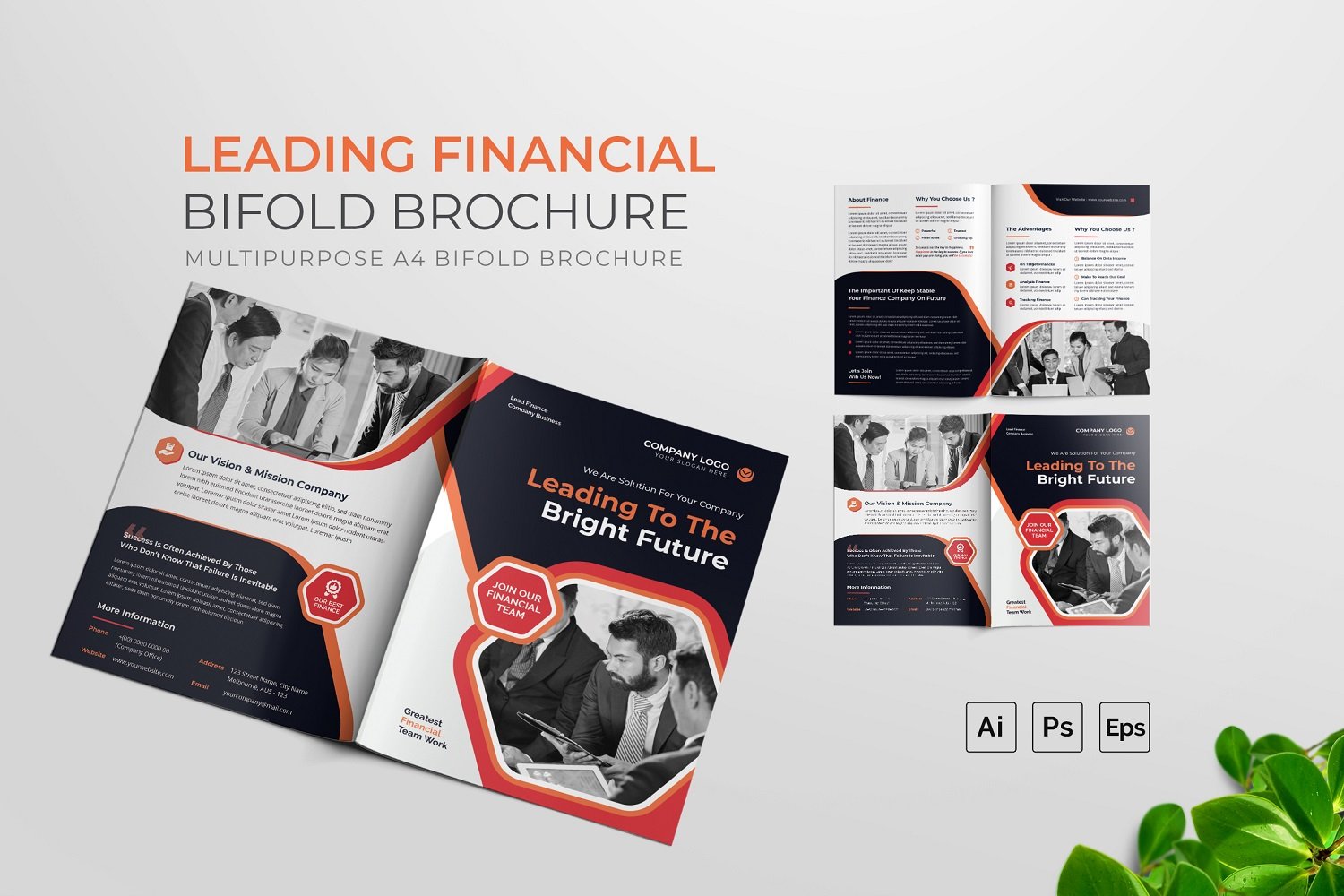 Leading Financial Bifold Brochure