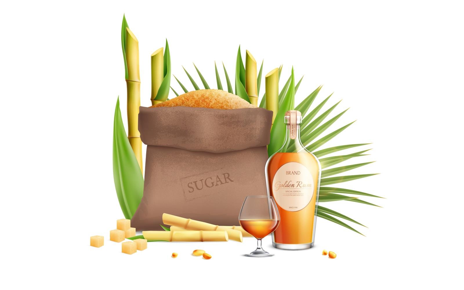 Cane Sugar Realistic Composition 2 200630921 Vector Illustration Concept