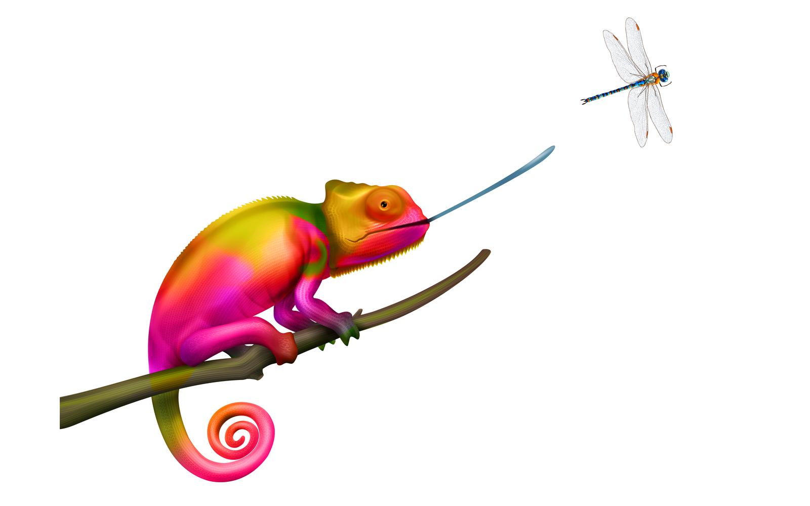 Chameleon Hunting Realistic 201021120 Vector Illustration Concept
