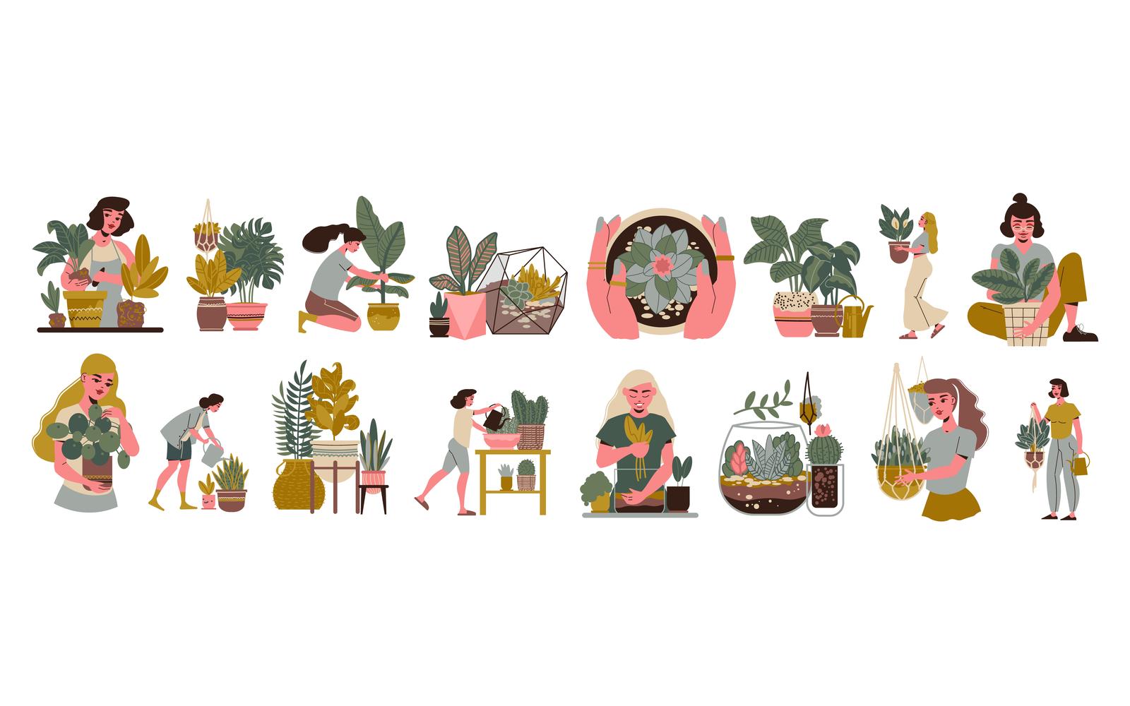 Home Plants People Set 210160529 Vector Illustration Concept