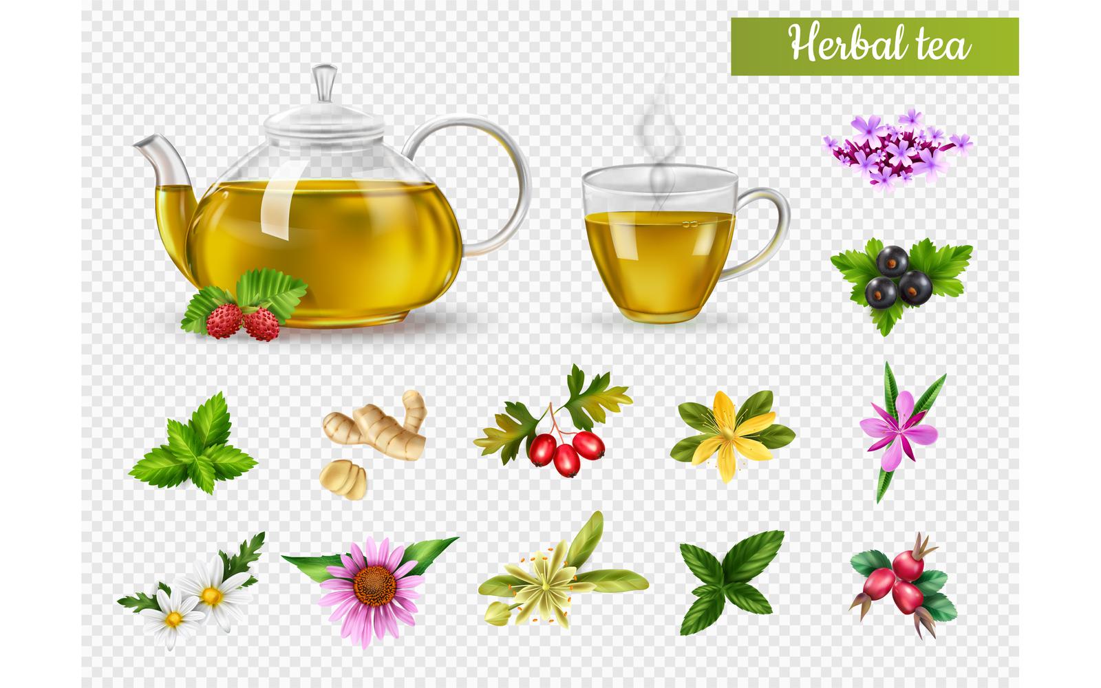 Realistic Herbal Green Tea Transparent Set 200830523 Vector Illustration Concept