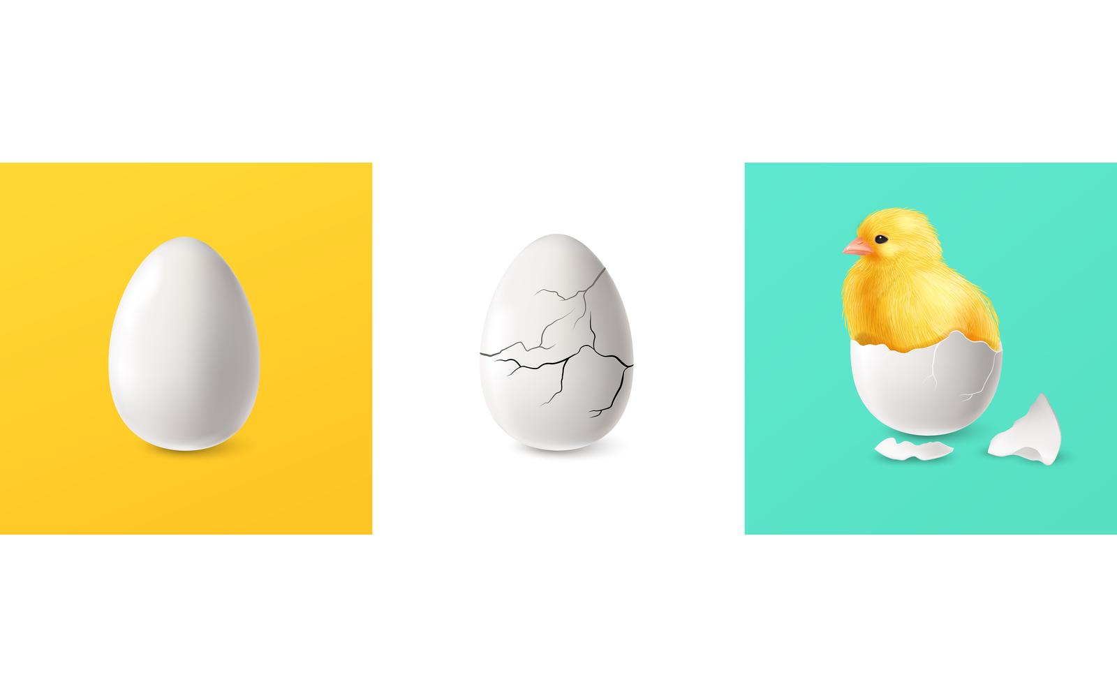 Realistic Cracked Egg Chicken 210230505 Vector Illustration Concept