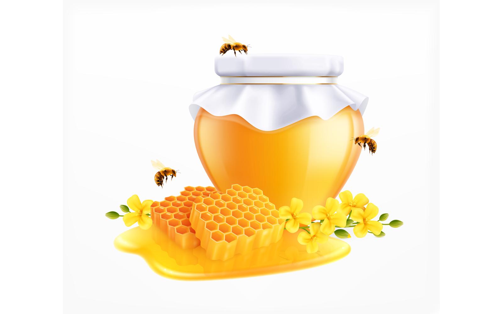 Honey Realistic Set Composition 210130910 Vector Illustration Concept