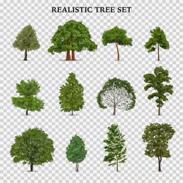 Object Green Illustrations Templates 211432