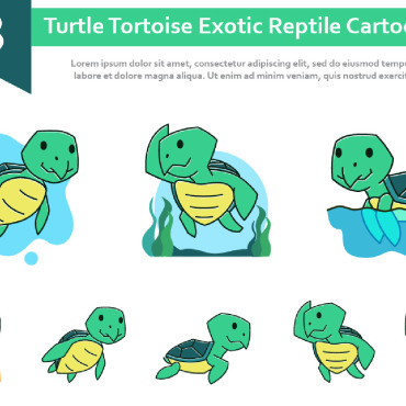 Turtle Tortoise Illustrations Templates 211497