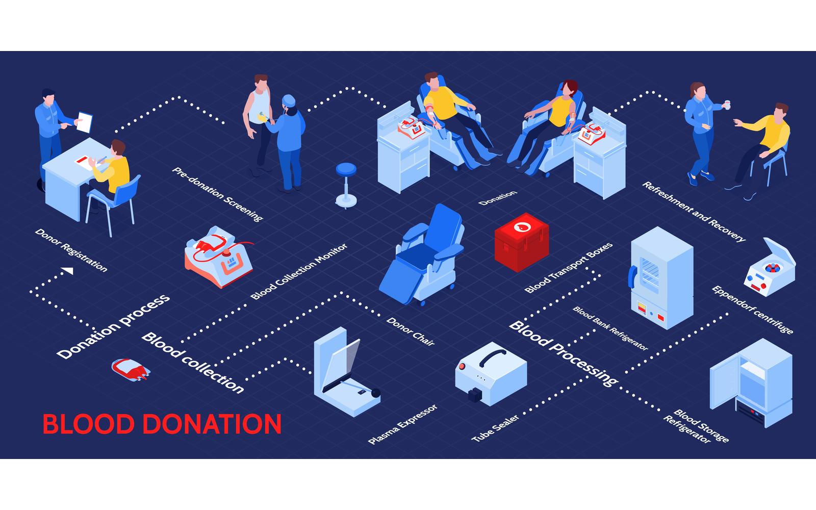 Isometric Blood Donor Infographics 201103212 Vector Illustration Concept