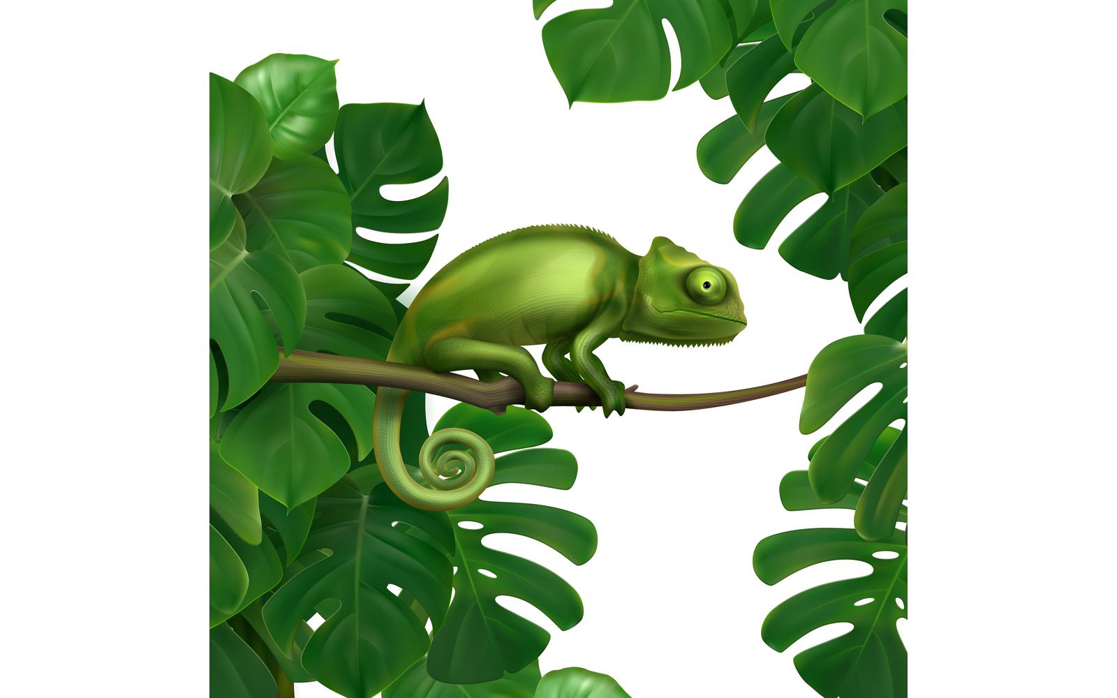 Chameleon In Tropical Forest Realistic 201021117 Vector Illustration Concept