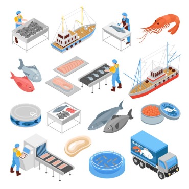 Processing Fishing Illustrations Templates 211789