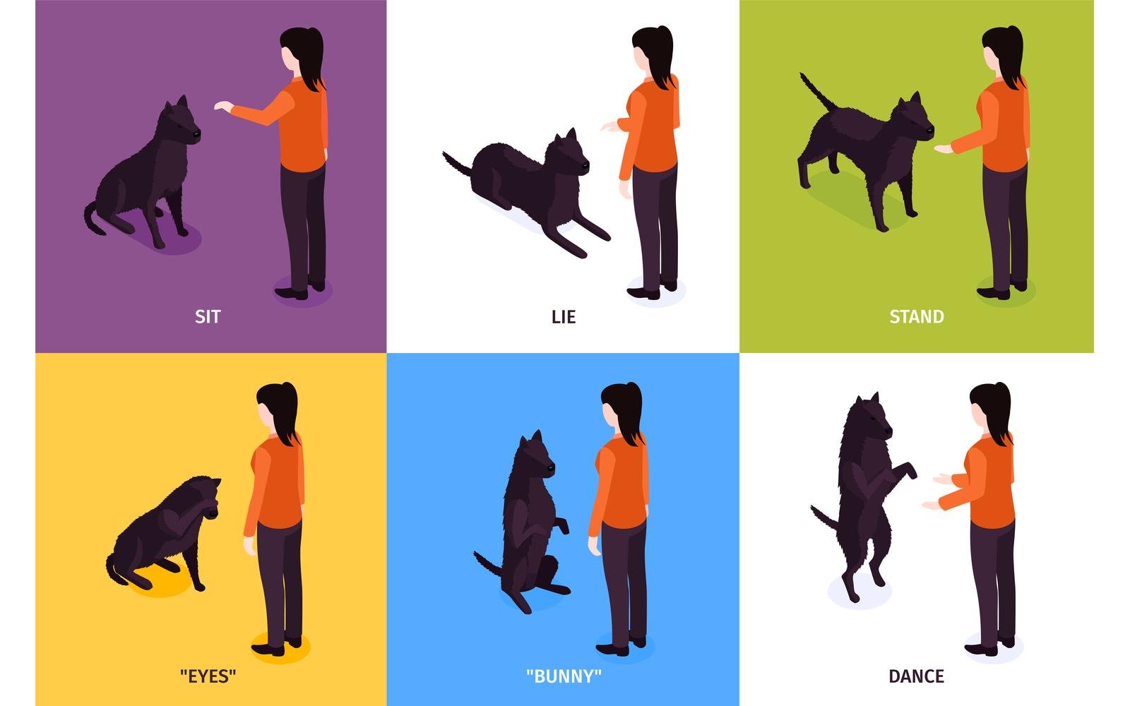 Isometric Dog Training Design Concept 201150406 Vector Illustration Concept