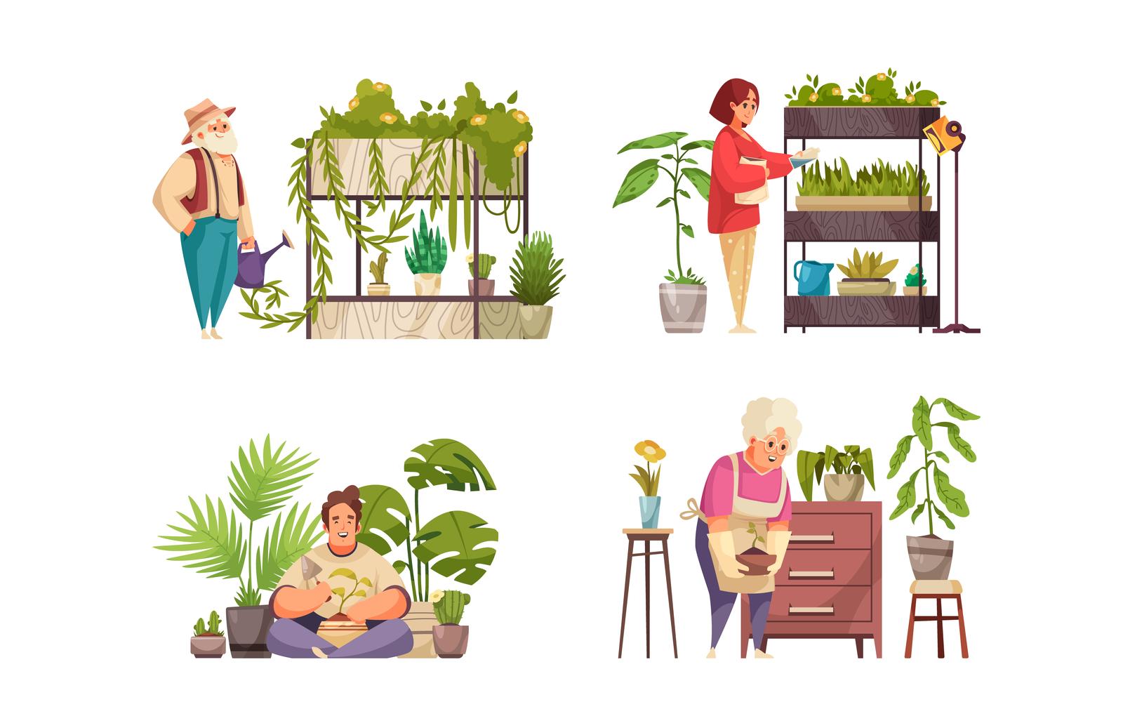 Home Plants Compositions 201212645 Vector Illustration Concept