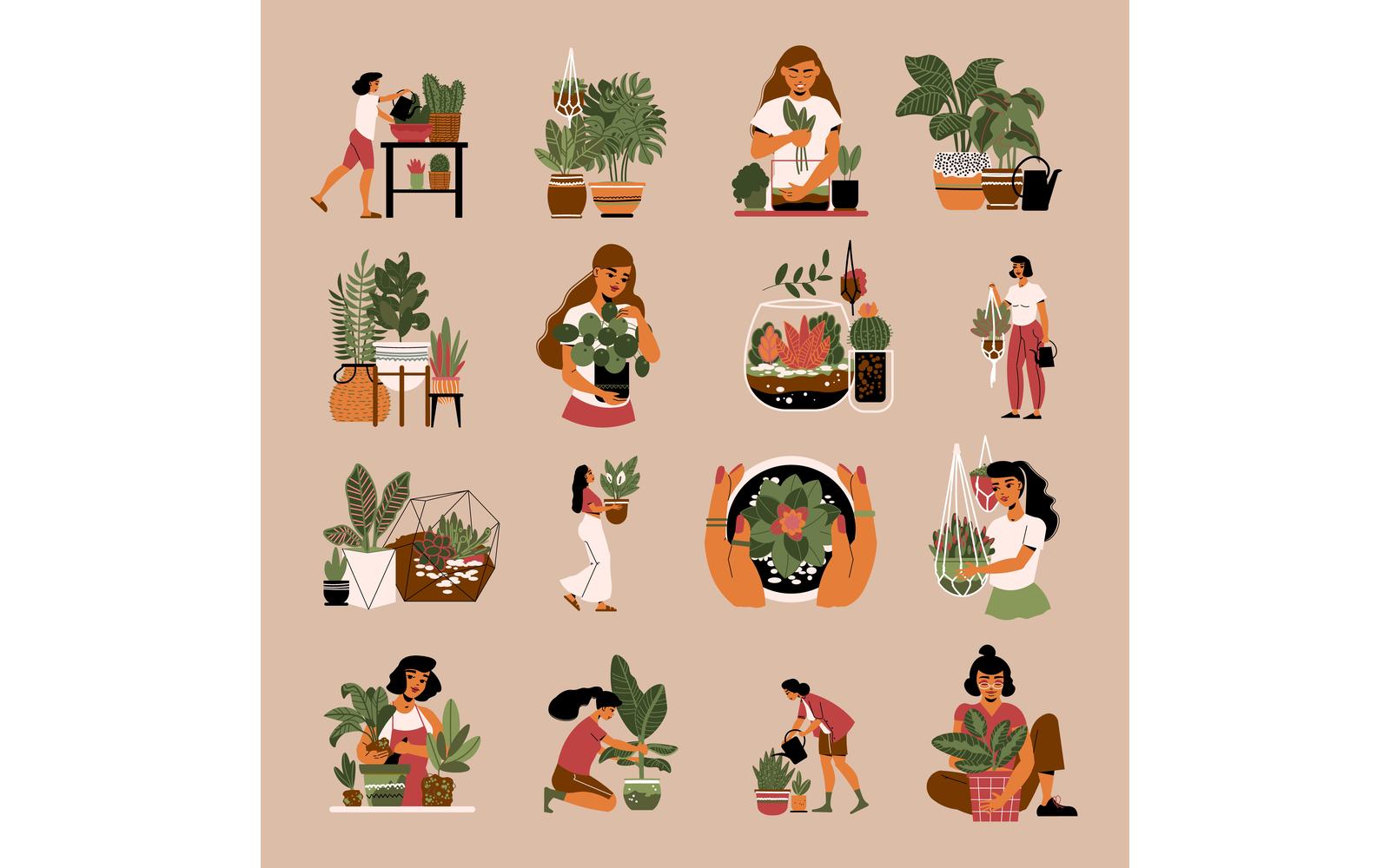 Home Plants Color Set 210160530 Vector Illustration Concept