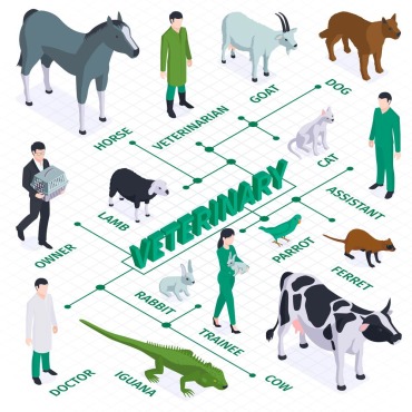 Animal Health Illustrations Templates 212140