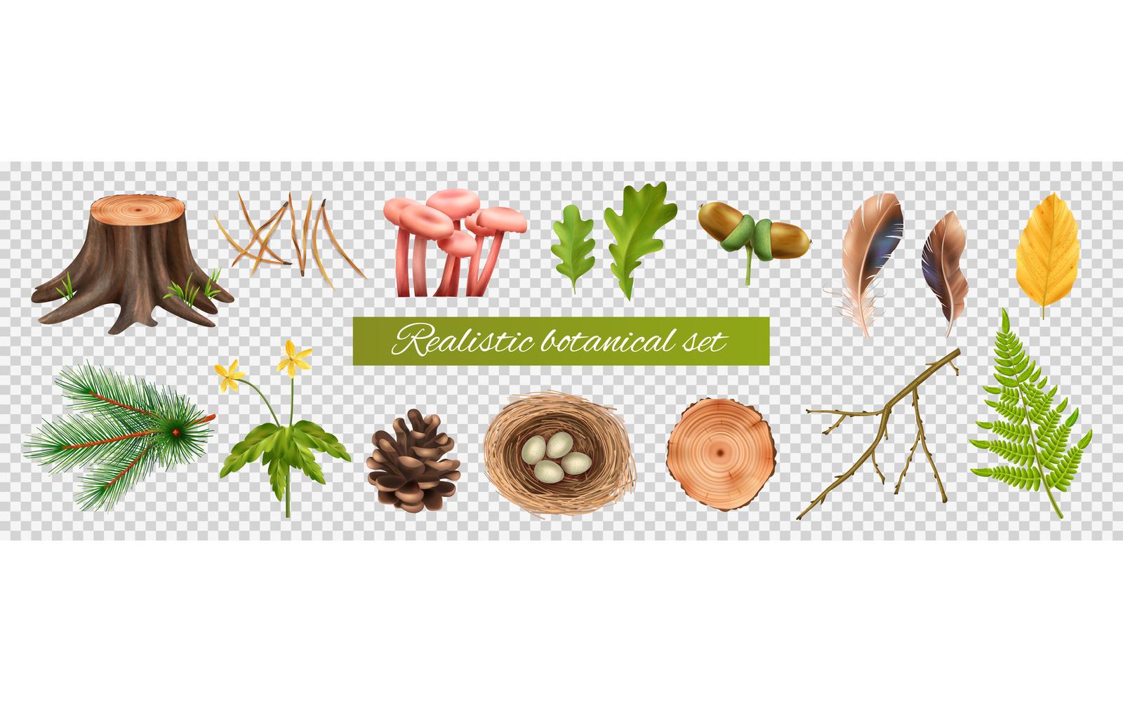 Realistic Botanical Transparent Set 201230525 Vector Illustration Concept