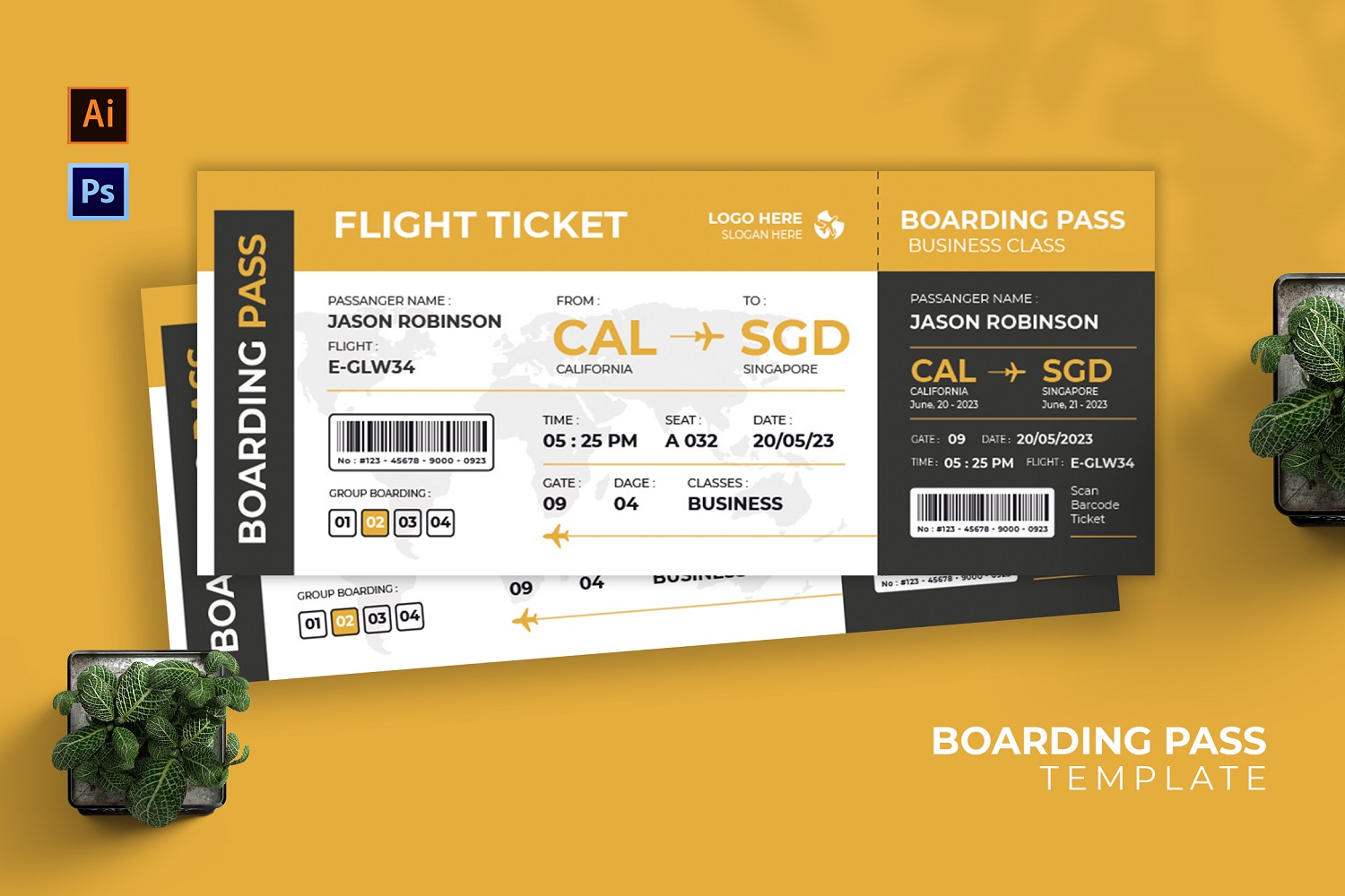 Flight Entrance Boarding Pass