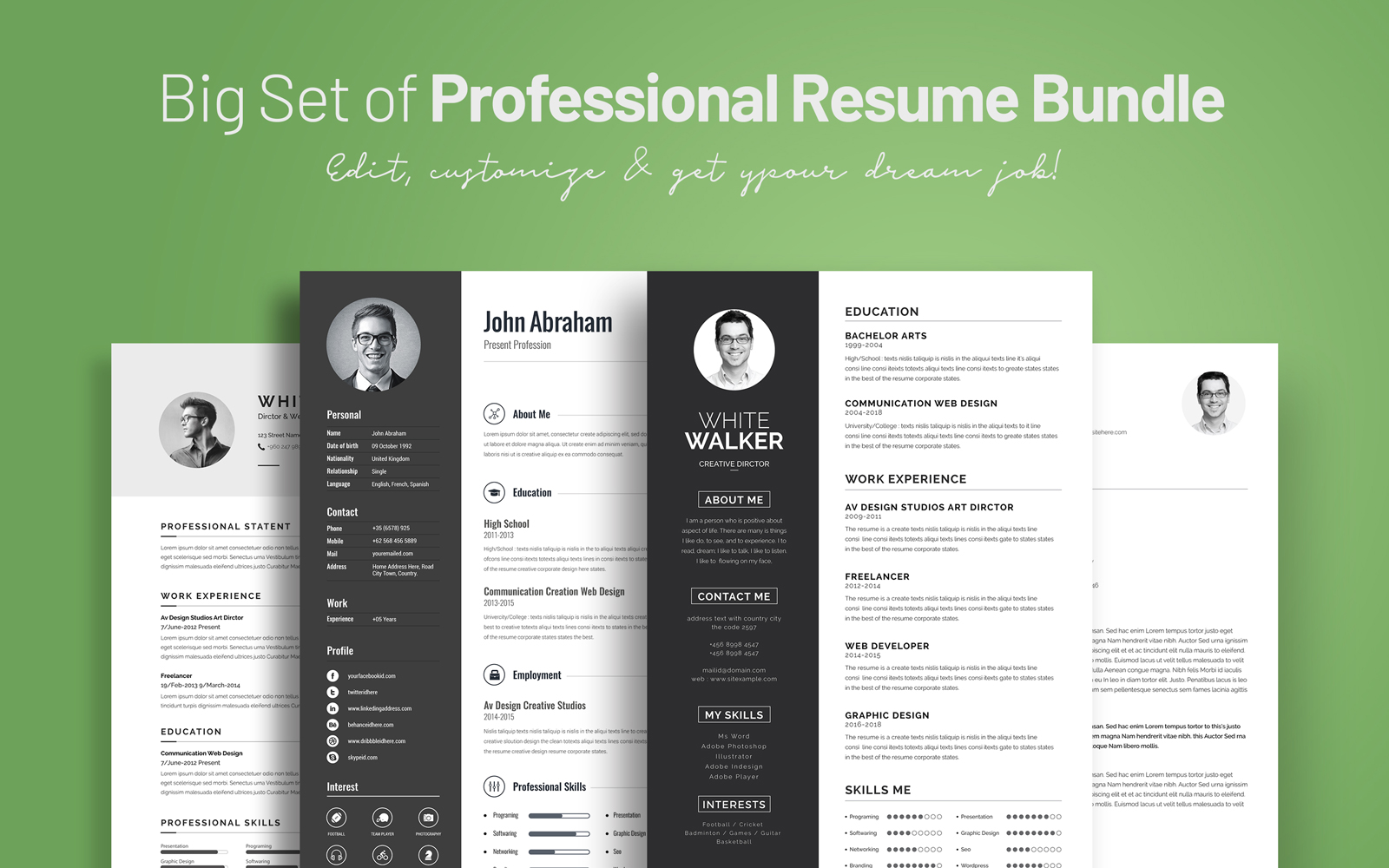 Big Set of Professional Resumes Bundle