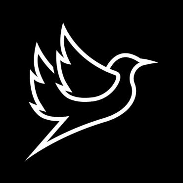 Flying Bird Logo Templates 212970