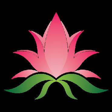 Lotus Flower Logo Templates 213265