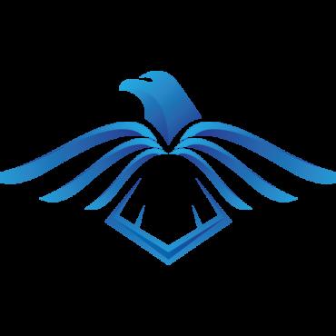 Head Bird Logo Templates 213266