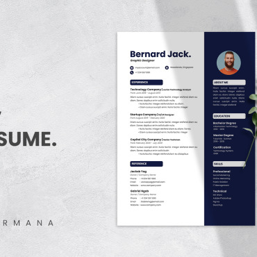 Cv Curriculum Resume Templates 213324