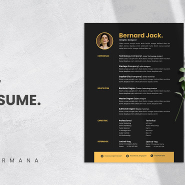 Cv Curriculum Resume Templates 213326