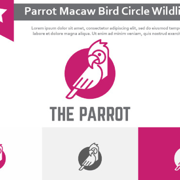 Exotic Parrot Logo Templates 213380