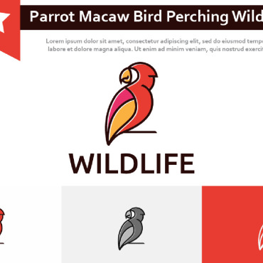 Exotic Parrot Logo Templates 213384