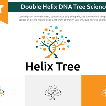 Helix Dna Logo Templates 213406