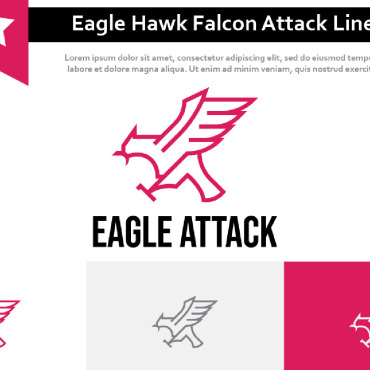 Hawk Falcon Logo Templates 213412