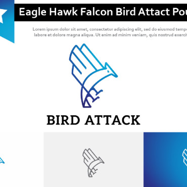 Hawk Falcon Logo Templates 213413