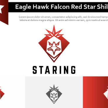 Hawk Falcon Logo Templates 213415