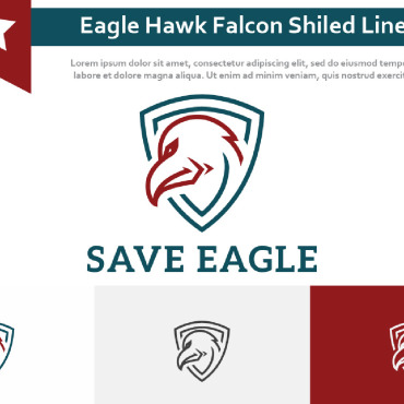 Hawk Falcon Logo Templates 213419