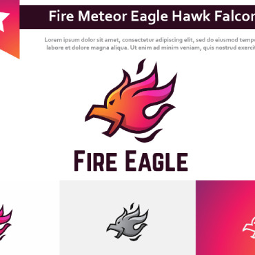 Flame Comet Logo Templates 213427