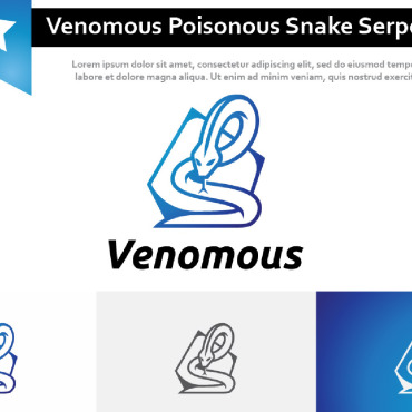 Poisonous Snake Logo Templates 213479