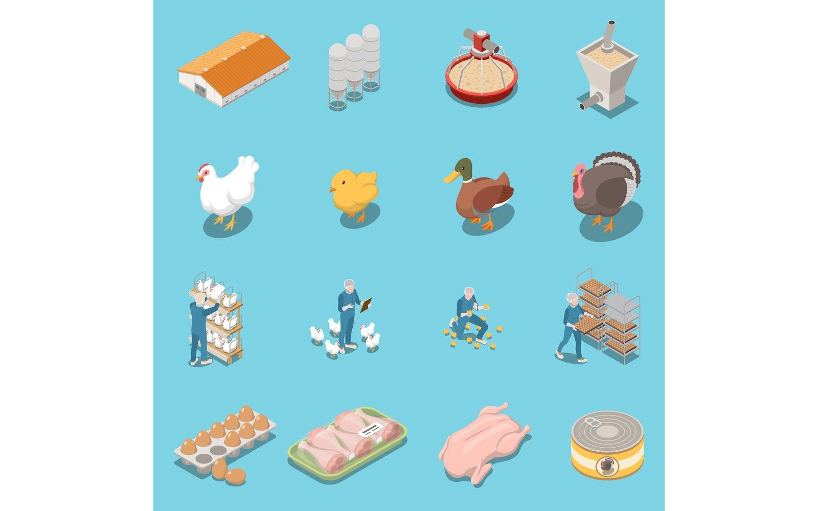 Poultry Farm Set Isometric 200810910 Vector Illustration Concept