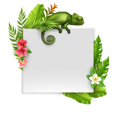 Lizard Reptilian Illustrations Templates 213854