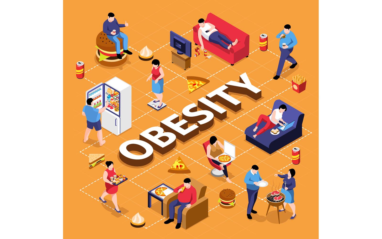 Isometric Obesity Flowchart 201110508 Vector Illustration Concept