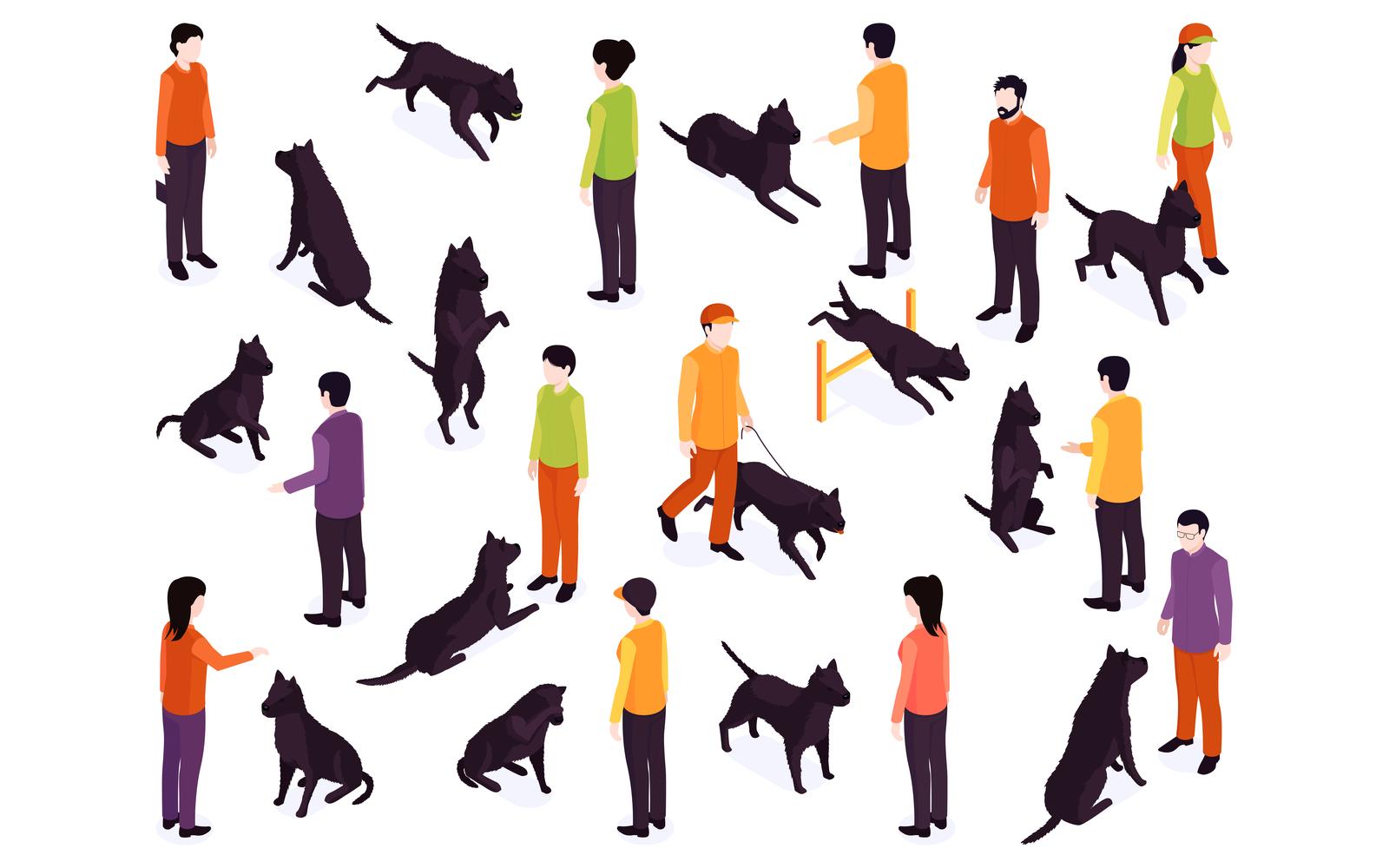 Isometric Dog Training Color Set 201150401 Vector Illustration Concept