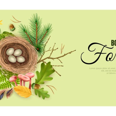 Floral Flower Illustrations Templates 214423