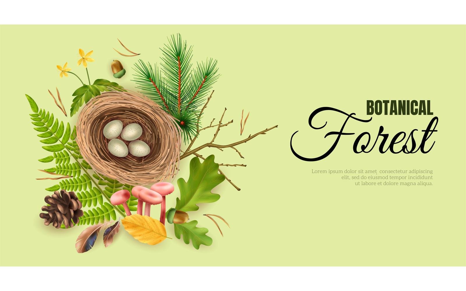 Realistic Botanical Horizontal Banner 201230529 Vector Illustration Concept