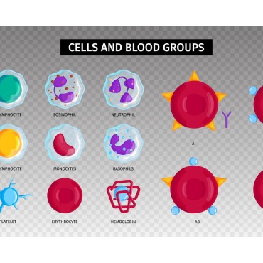 Blood Type Illustrations Templates 214442