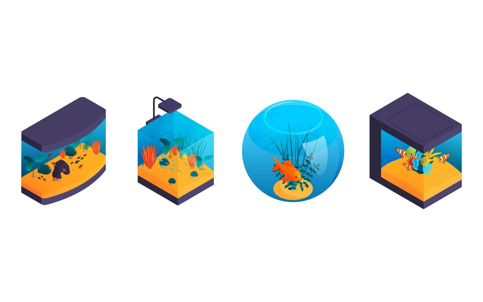 Isometric Aquarium 201150430 Vector Illustration Concept