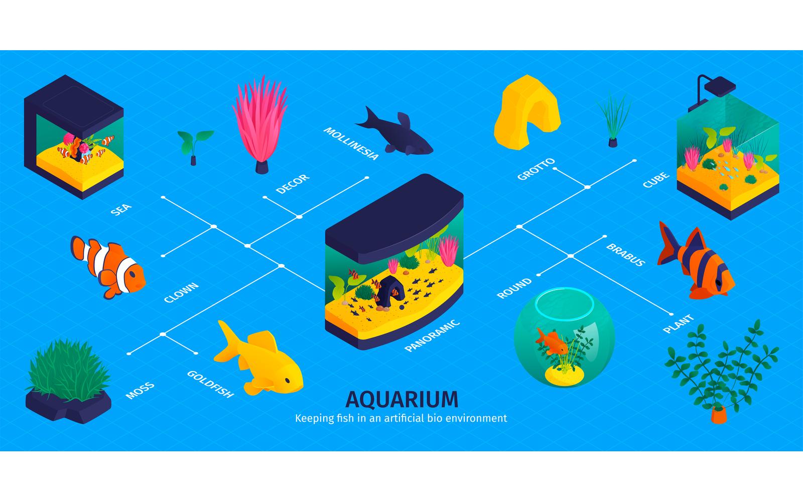 Isometric Aquarium Infographics 201150431 Vector Illustration Concept