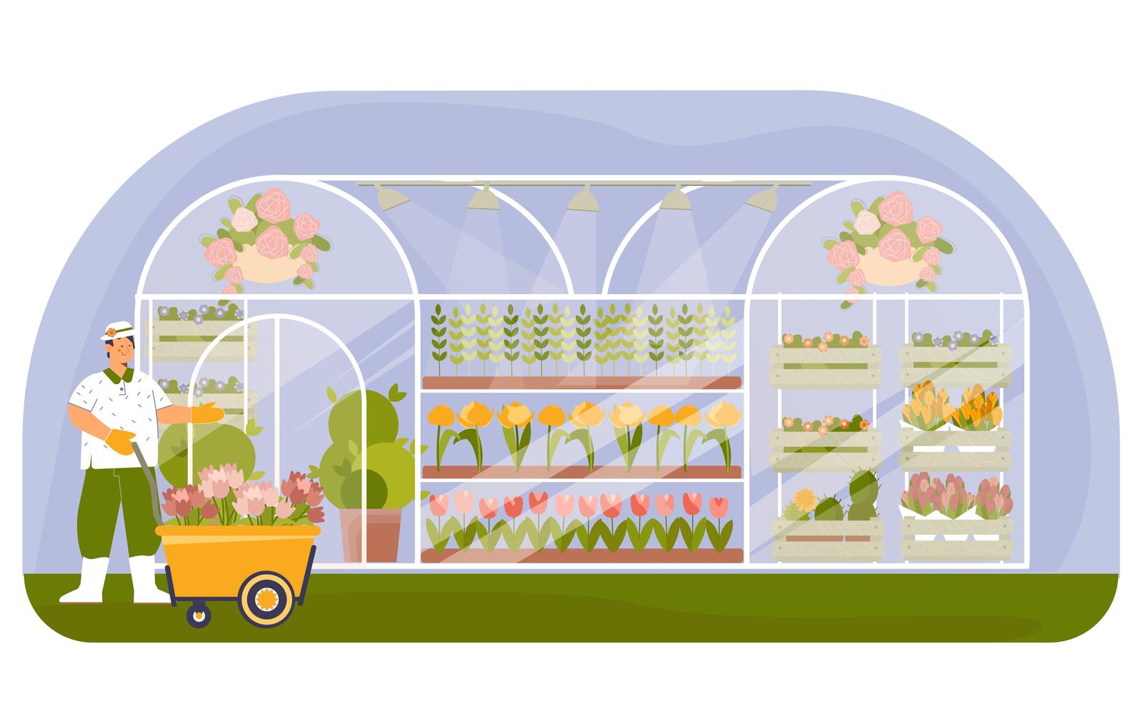 Plant Nursery Flat 201160206 Vector Illustration Concept