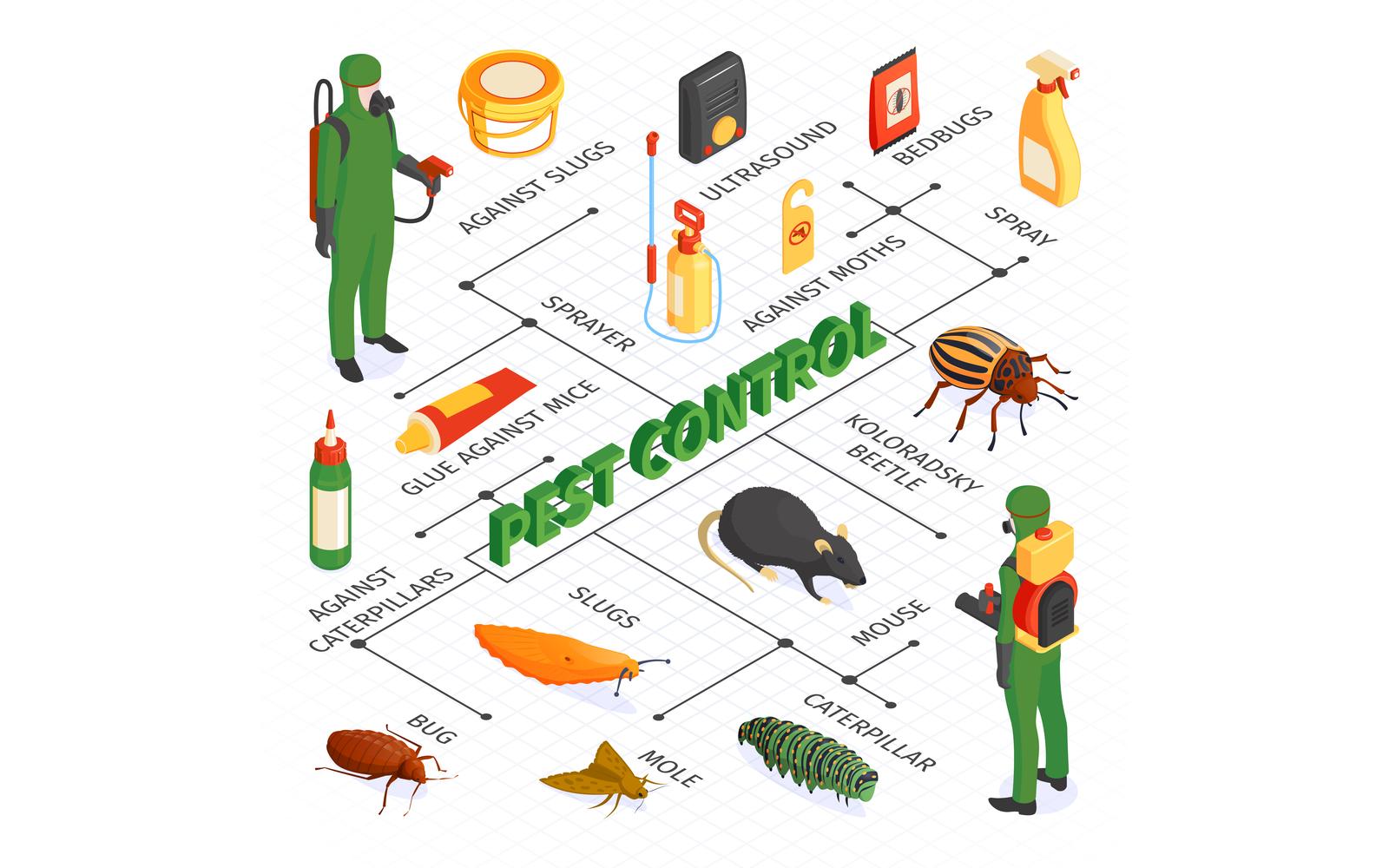 Isometric Pest Control Flowchart 201050405 Vector Illustration Concept