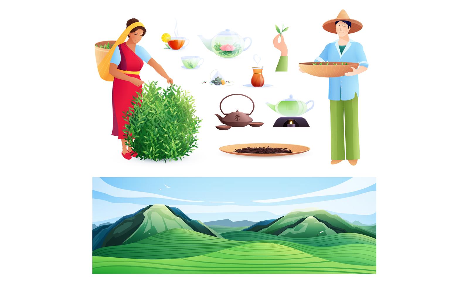 Natural Tea Production Flat Set 201030928 Vector Illustration Concept